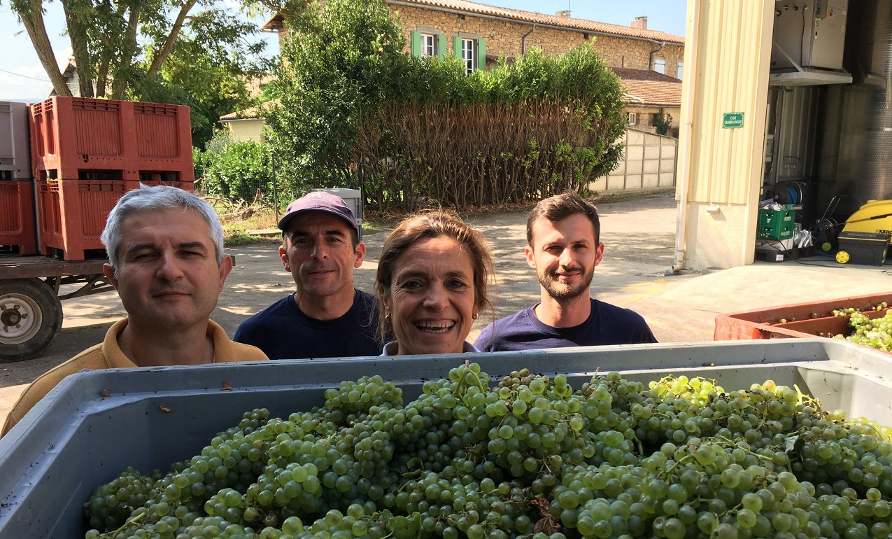 Antech, Réserve Brut Blanquette de Limoux | Jancis Robinson